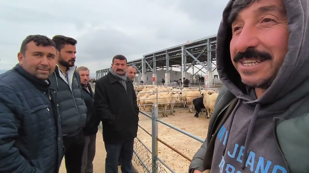 ÇORUM HAYVAN PAZARI KÜÇÜKBAŞ.               23 ŞUBAT 2026