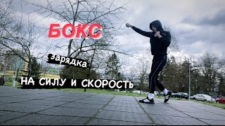 Бокс Зарядка на СИЛУ И СКОРОСТЬ