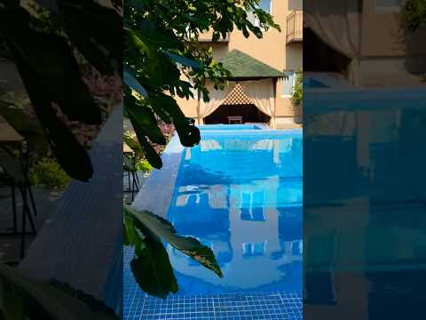Настроение лето. В