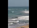 DÍA ÉPICO de SURF en MAR DEL PLATA