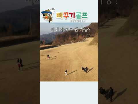 보기만 해도 페이드가 걸리는 쇼츠