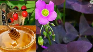 Lunga Emana Ewoomere Omusajja Kozesa Kanyeebwa Omubisi Olusiiti - Kojja Allan Omumanyi