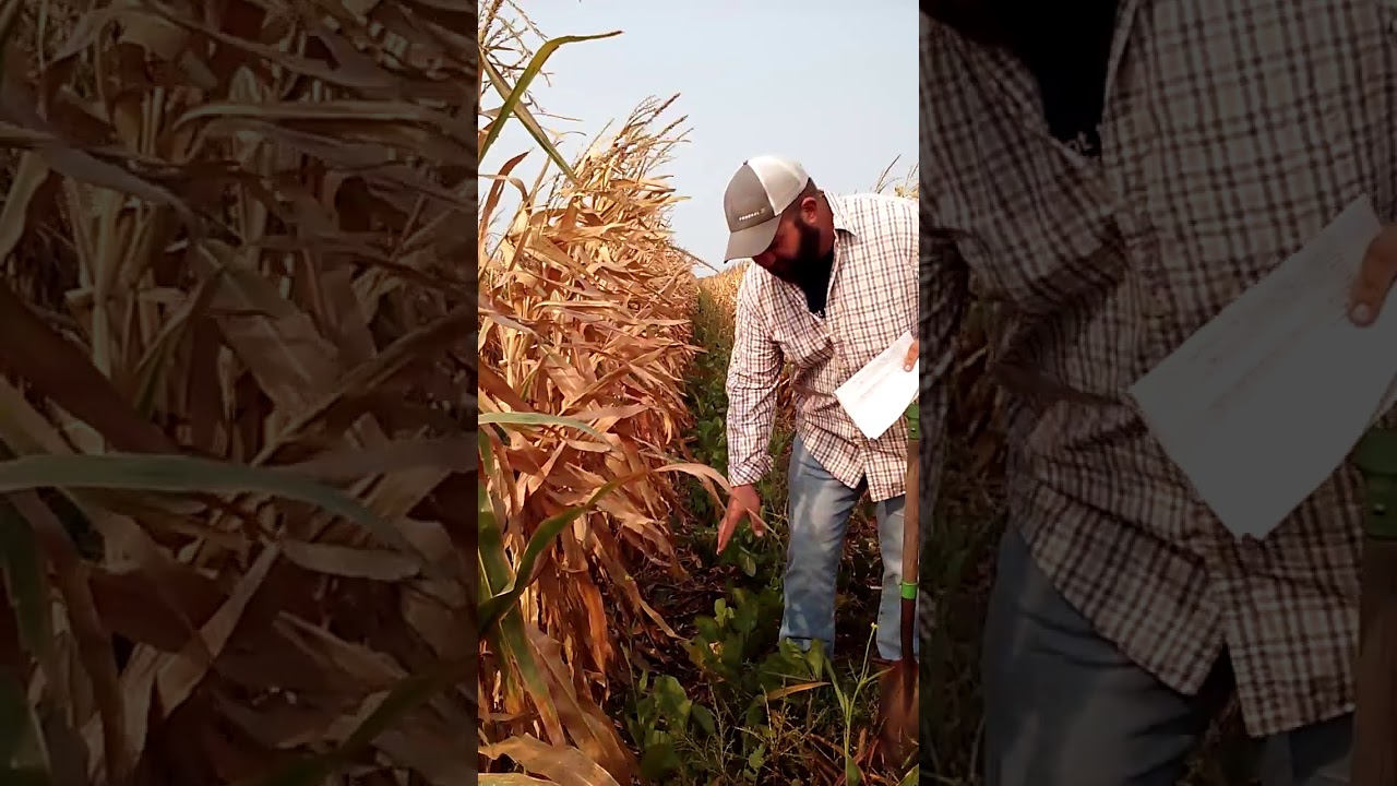 Soil health lesson with Brian Chatham