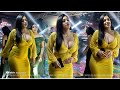 انا الطير الحر انا اللحمي مر جهاد سليمان 2024