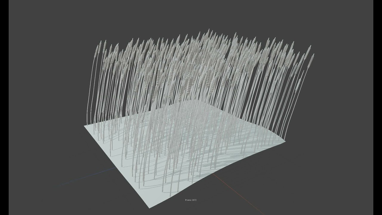 Wheat in Wind Simulation in Modo C