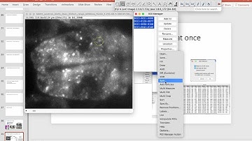 Fiji Image Analysis Crash course #002: Multi ROI plotting