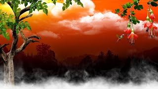Beautiful Sunset Background Video Effects HD With Smoke Effect Video Background Animation