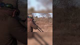 Spotting a Warthog near Impala