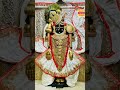 #dev#krishna#virdavan #dwarka#reels#bhakti #krishna#krishnalove #premanandjipravachan #vrindavandham