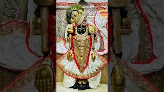#dev#krishna#virdavan #dwarka#reels#bhakti #krishna#krishnalove #premanandjipravachan #vrindavandham