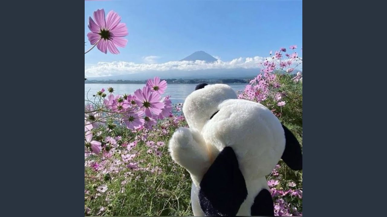 Hoya Funk - Super Slowed