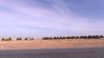 TREX 700N DFC iKON Beta Gov Mike Martin