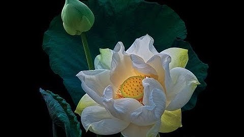 Tang lễ cụ bà Têrêsa Maria NGUYỄN THỊ NHỊN (04/10/2014) - phần 1.