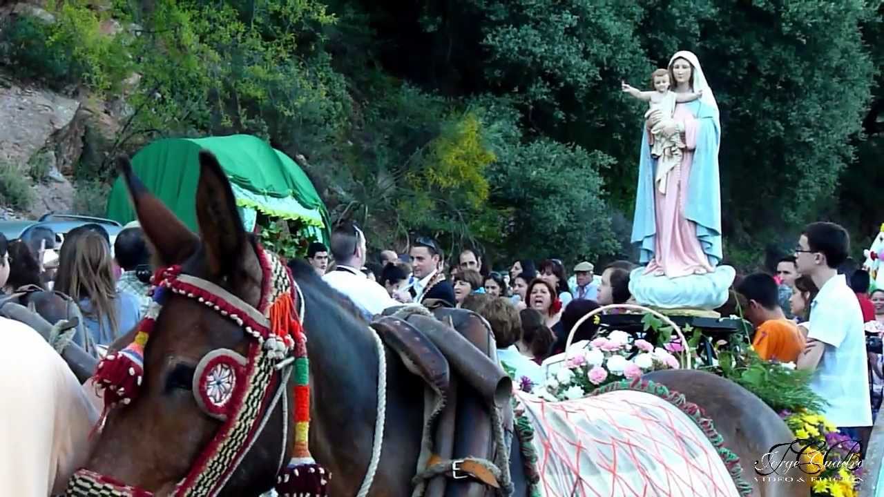 Camino de la Romeria 2011 Cortes de la Frontera