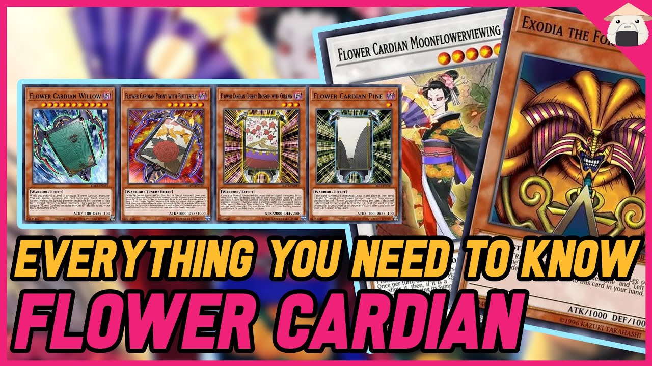 How to play Flower Cardians FTK Exodia Yu-Gi-Oh! Master Duel