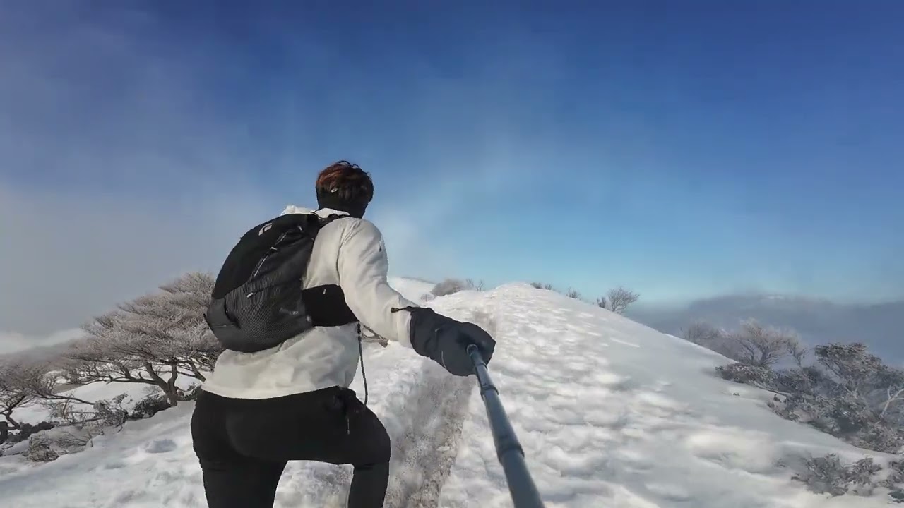 【鈴鹿山脈】冬の竜ヶ岳 遠足尾根〜金山尾根 2025年1月26日