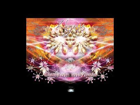 Zymosis - Solar Quest