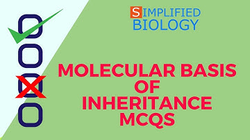 MOLECULAR BASIS OF INHERITANCE Genetics MCQs for NEET, AIIMS, JIPMER, AIPMT, MCAT, PREMED