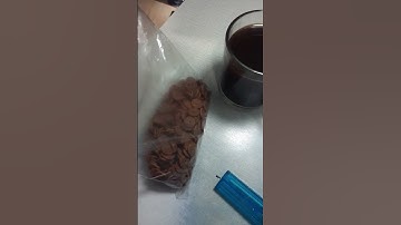 Kopi,  rokok,  makanan kucing #shorts