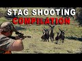 Compilation tirs cerfs en Espagne - Stag shooting compilation