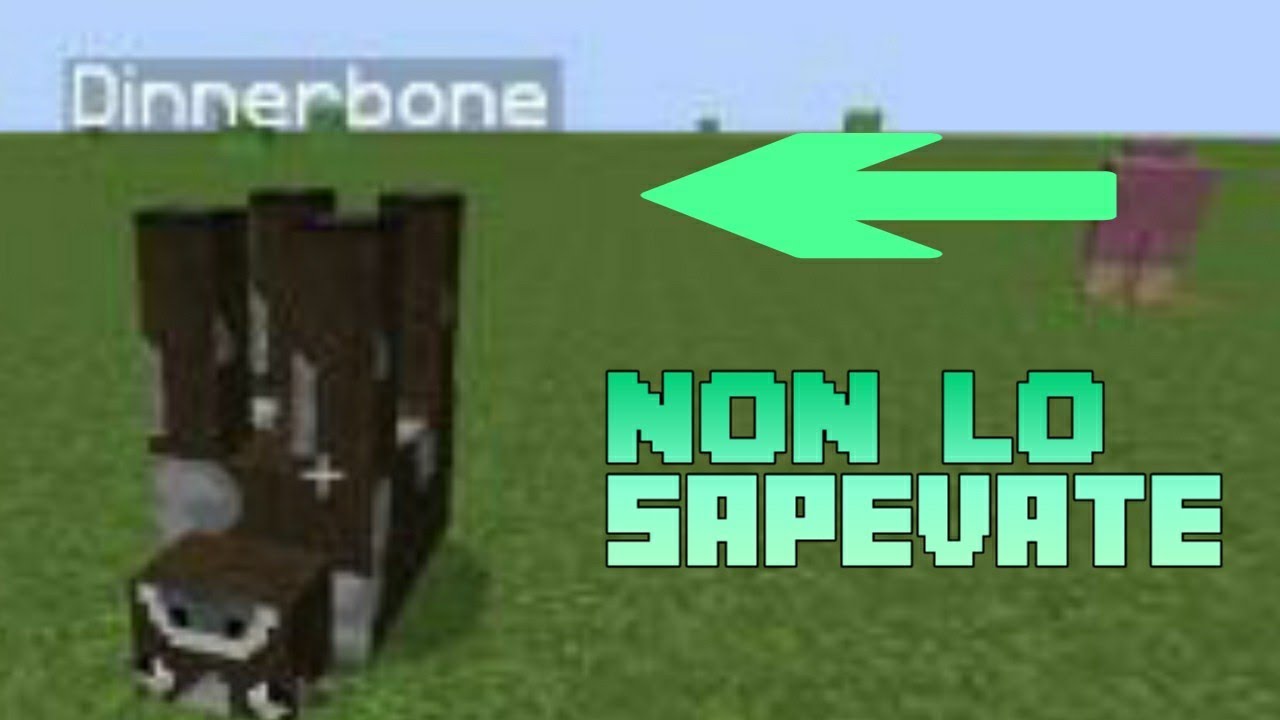 10 Cose Che Non Sai Su Minecraft