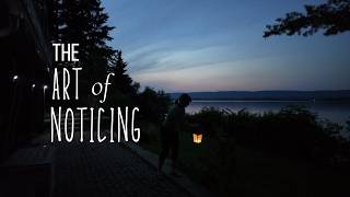 The Art of Noticing | Summer Evening Magic | Full Moon & Fireflies