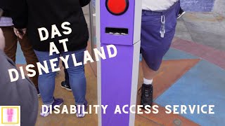 Unlocking the Disneyland Experience with Advanced DAS and DAS System in 4K!