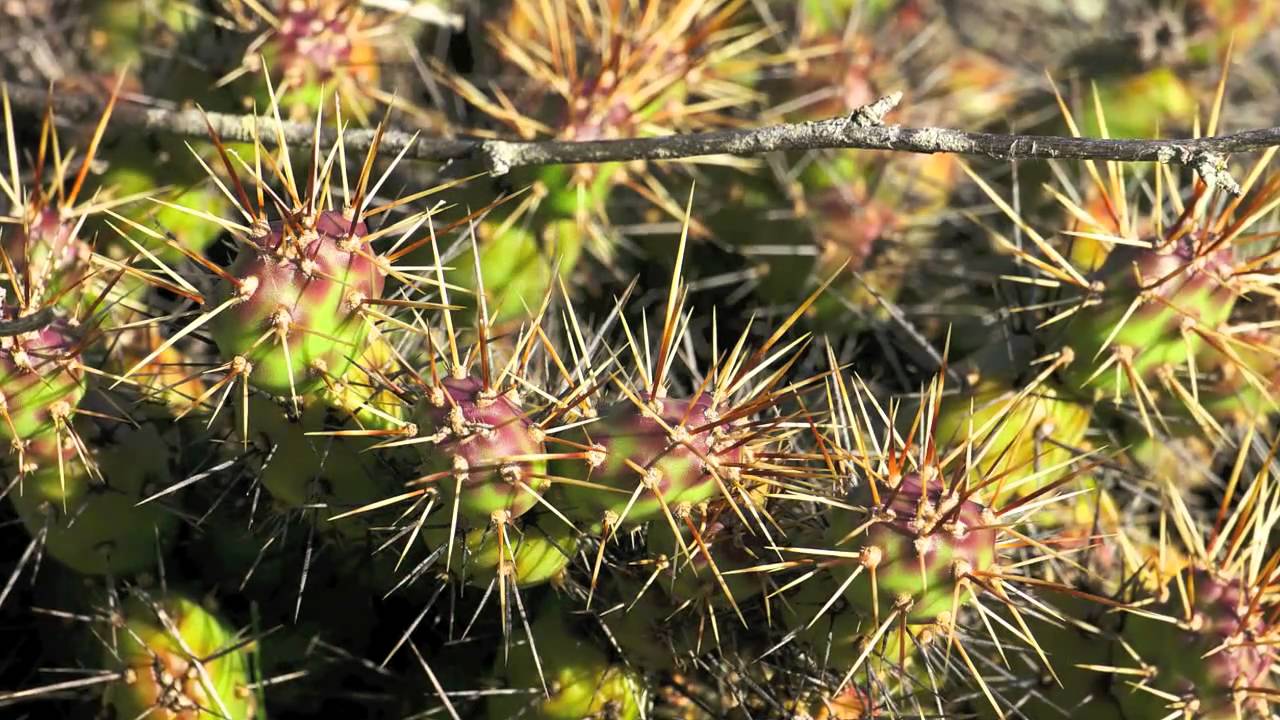 Trans Canada Trail in British Columbia