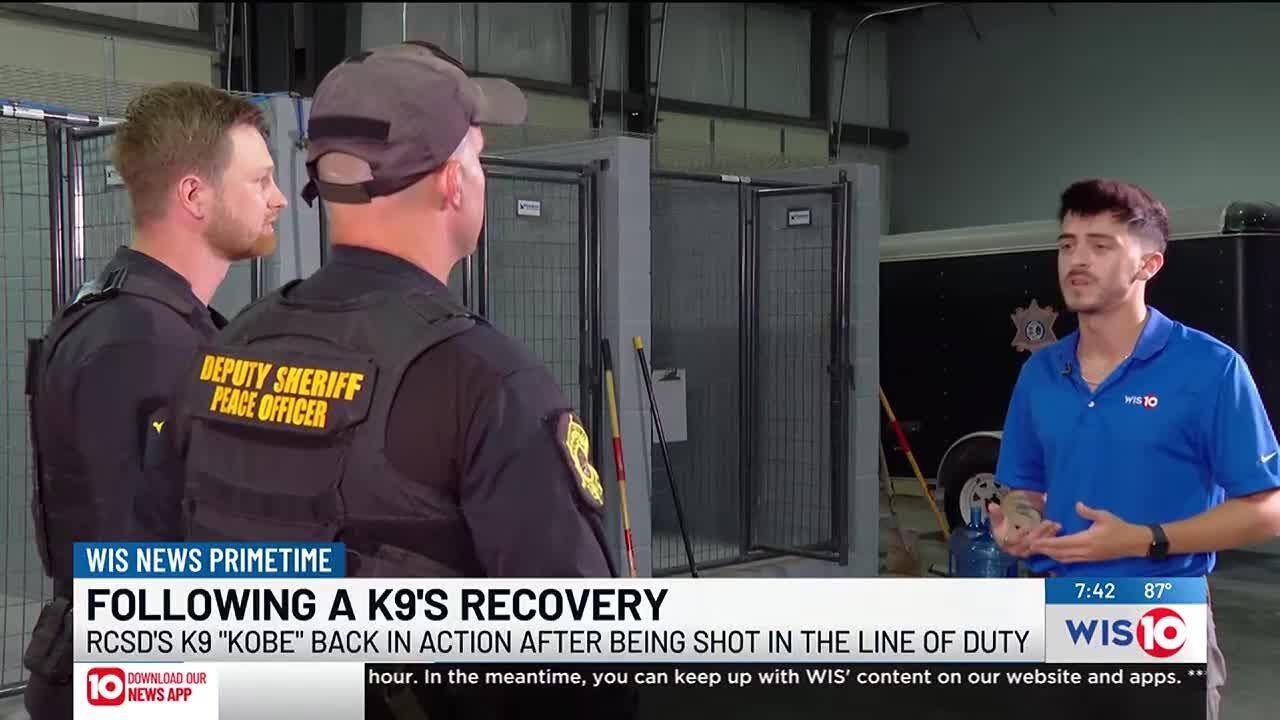 Following a K9's recovery: Richland County K9 Unit breaks down Kobe's recovery after being shot i...