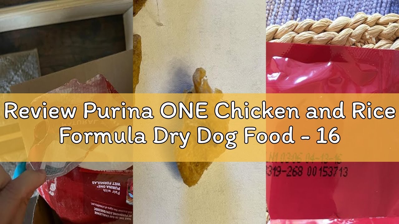 Review Purina ONE Chicken and Rice Formula Dry Dog Food - 16.5 lb. Bag