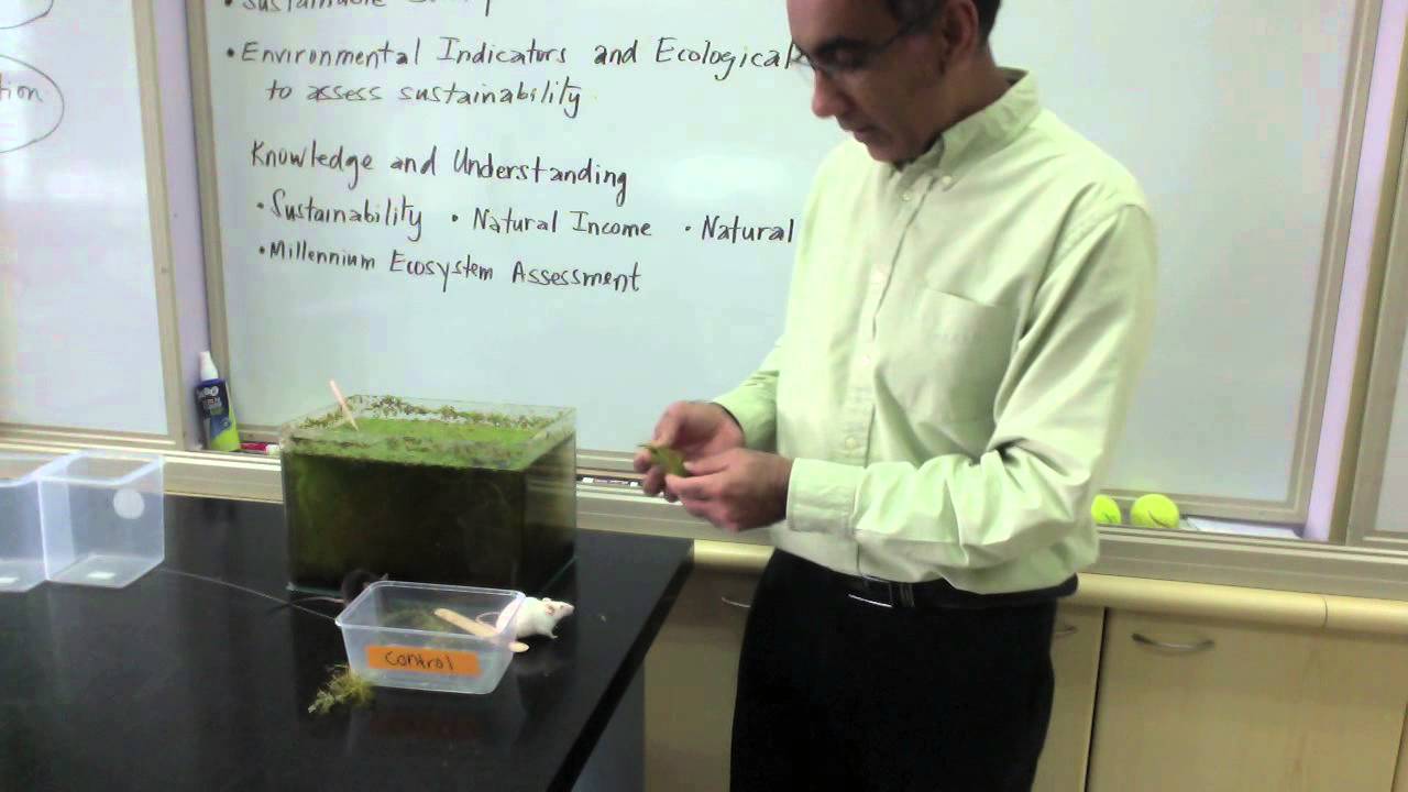 Sustainability, Natural Income and Natural Capital