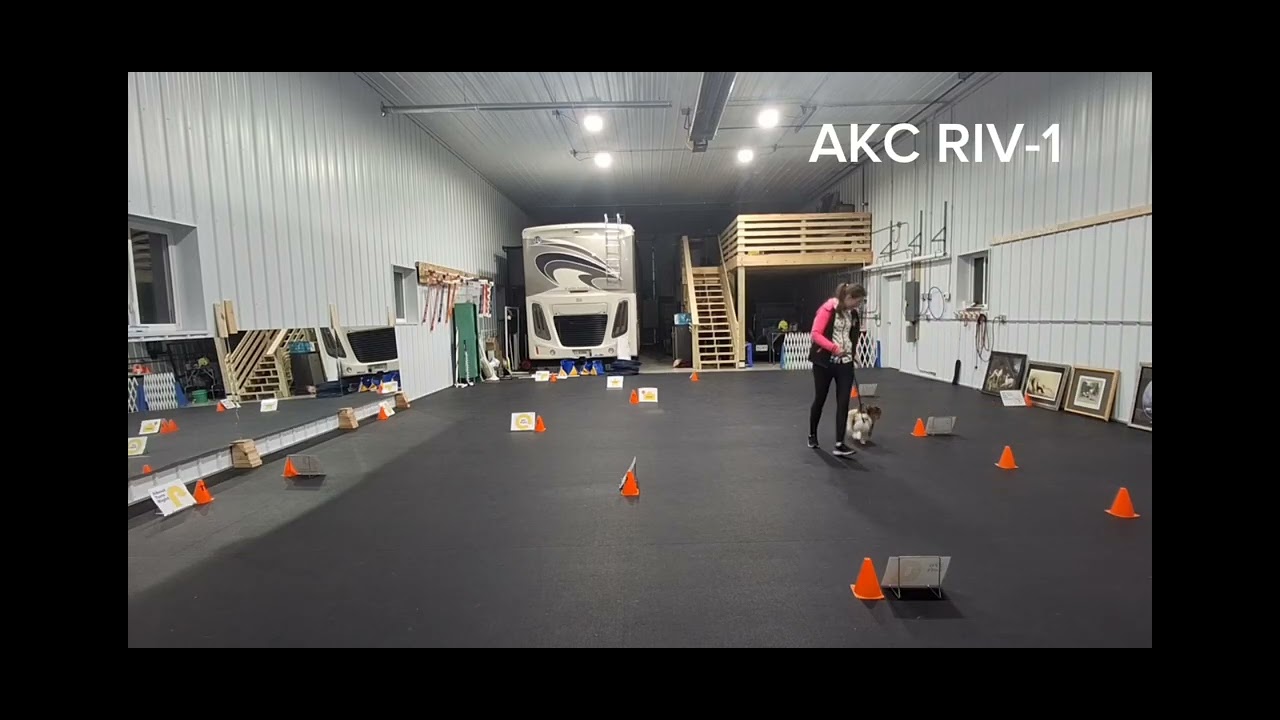 AKC Virtual Rally Intermediate Course #1 - YouTube
