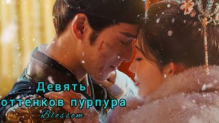 видео: 🪻Цветение🪻Blossom🪻Девять оттенков пурпура картинка: 🪻Цветение🪻Blossom🪻Девять оттенков пурпура