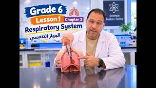 Full Science | Grade 6 | How Breathing Works | Chapter 2 Lesson 1 | Part 1/1 | 1st Term Guide