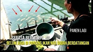 BARU MAU PASANG JORAN IKAN NYA SUDAH NGUMPUL DULUAN || mancing Saguling terbaru