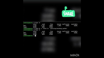 Command to see RAM in Linux ?