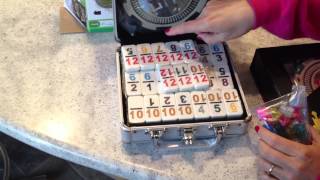 Double 12 Professional Size Dominoes Set with Aluminum Case | Mexican Train Fun screenshot 3