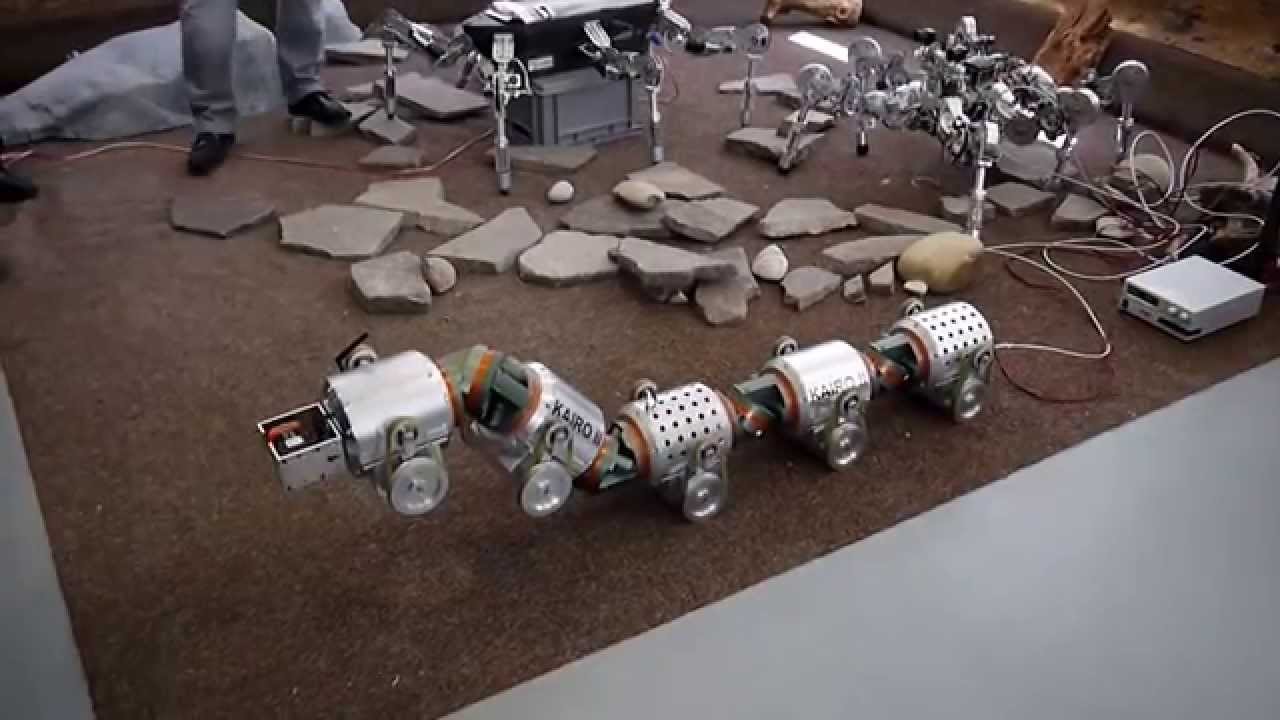 ICRA 2013 Technical Tour at Karlsruhe Institute of Technology (KIT)