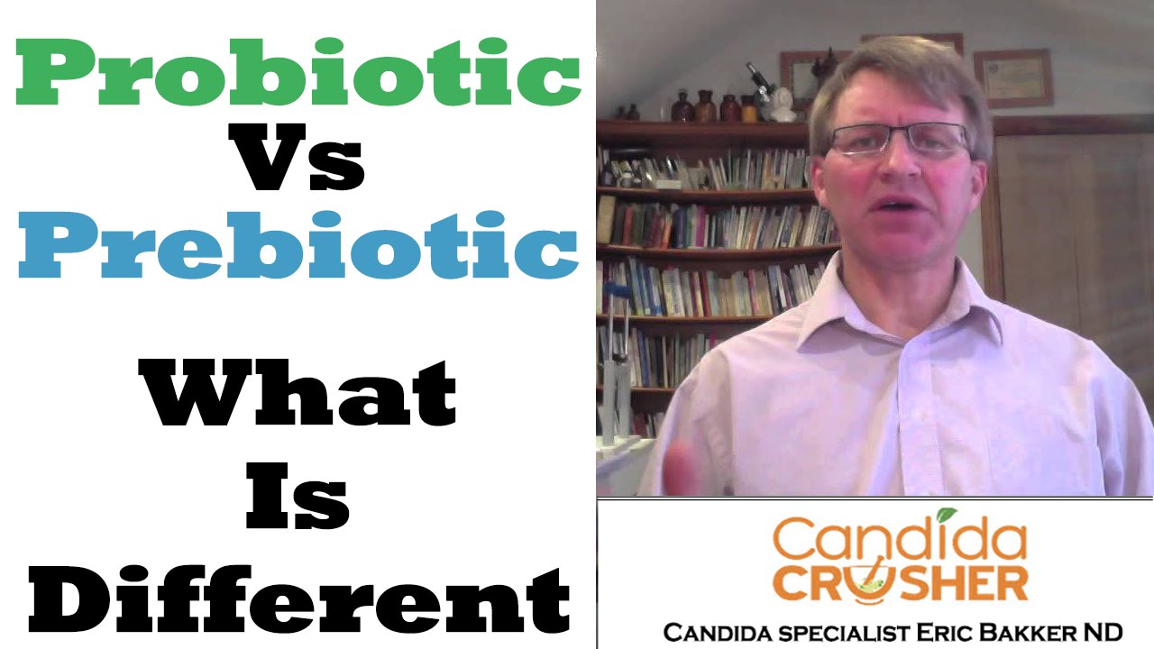 Practical applications of probiotics in health and disease journal, freeze dried probiotics vs