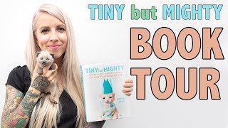 Kitten Lady speaking at TINY BUT MIGHTY book tour