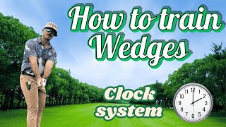 How to train WEDGES: Clock system