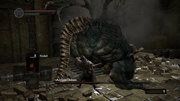 Asylum Demon SL1 fists only No Rolling/Blocking/Parrying