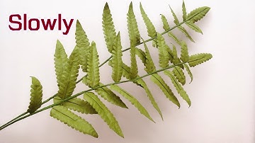 ABC TV | How To Make Fern Leaves Paper (Slowly)- Craft Tutorial