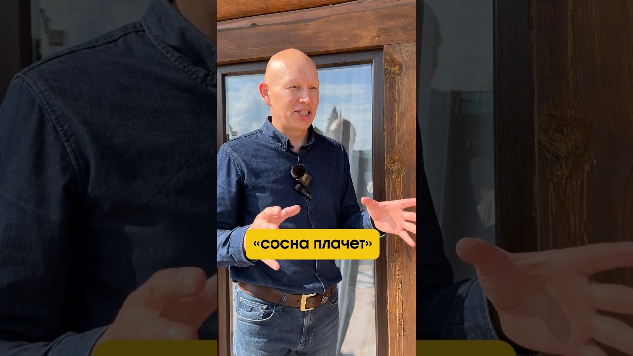 Что означает выражение «сосна плачет»? 