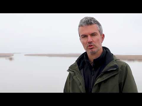 Βίντεο: Αλπική διαφάνεια και λίμνη στη χώρα