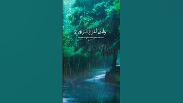 " سبح اسم ربك الاعلى " تلاوه هادئه ومريحه للنفس ✨❤ | القارئ عبدالرحمن مسعد 🌙💛