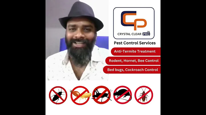Pest Control Services in Chennai - 📞99623 95050 #pestcontrol #insectcontrol #shorts #chennai