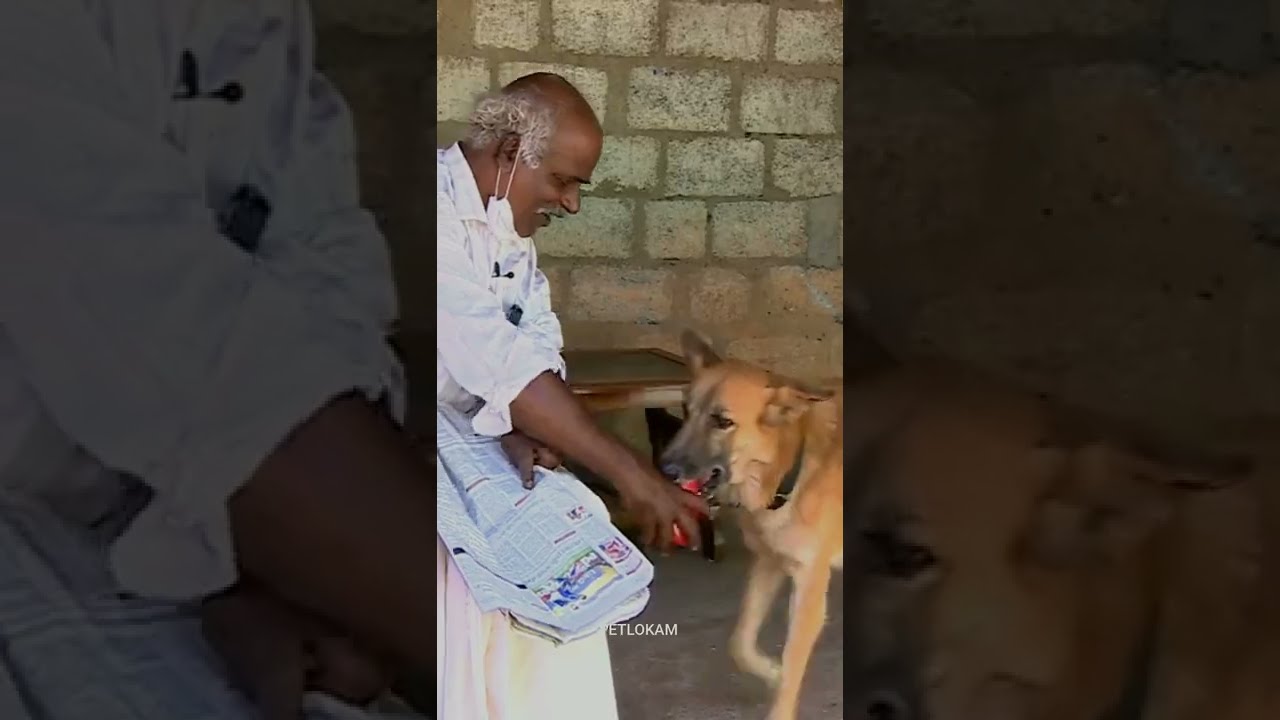 Chottu ഇനി ഓര്‍മകളില്‍ മാത്രം 😢😭