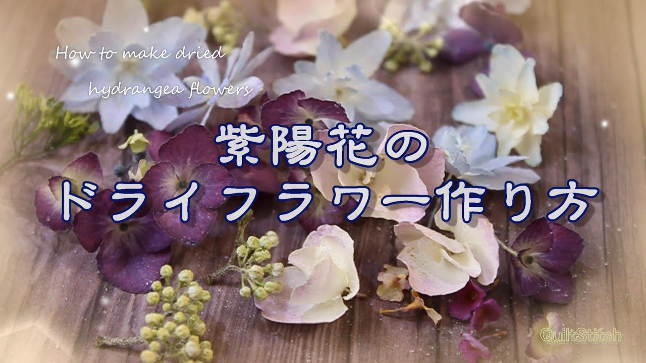 紫陽花のドライフラワーの作り方 How To Make Dried Hydrangea Flowers Youtube