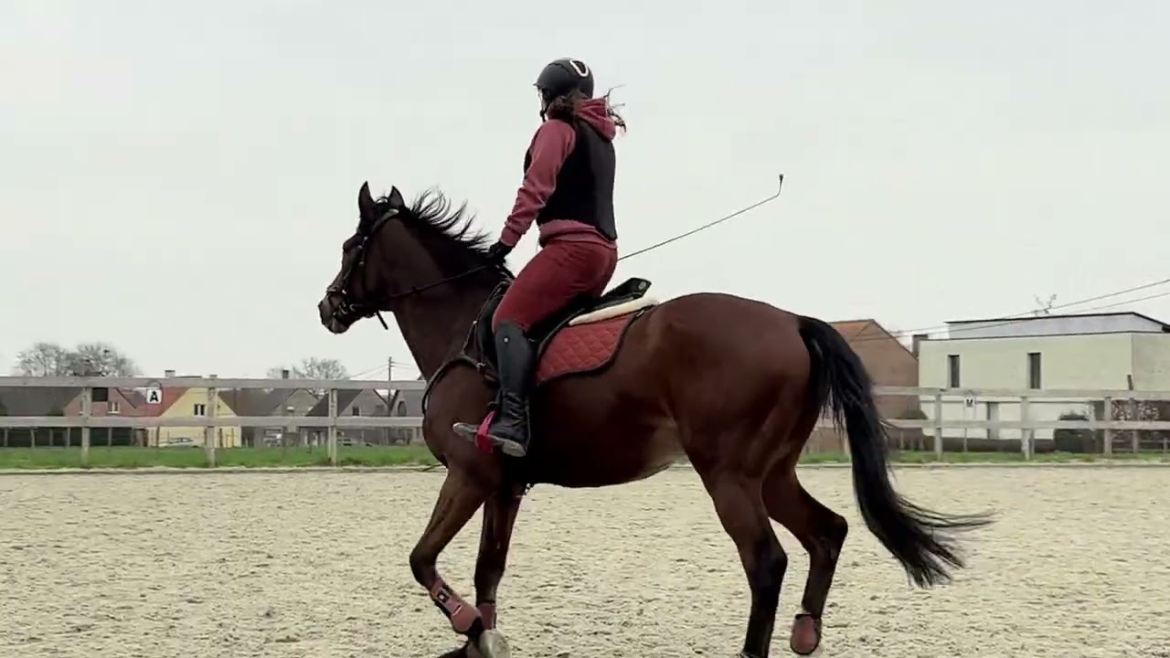 Strides video review 1